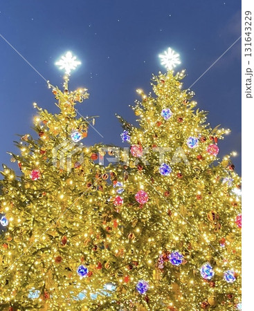夜空に輝くクリスマスツリー 夜空に輝くクリスマスツリー 131643229