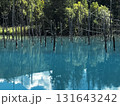 反射する青い池 131643242