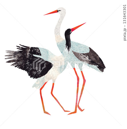Watercolor illustration of two storks standing together. Romantic hand-painted bird couple perfect for wedding themes, nursery prints, nature decor, or spring-themed designs. Watercolor illustration of two storks standing together. Romantic hand-painted bird couple perfect for wedding themes, nursery prints, nature decor, or spring-themed designs. 131643301