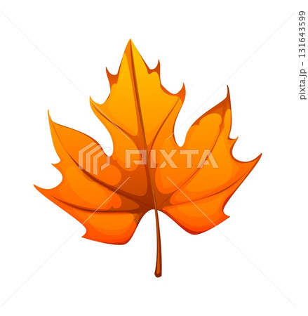 Cartoon autumn maple leaf. Isolated vector fallen foliage with jagged edges, red and orange colors and veins. Bright falling leaf, fall season nature element, symbol of seasonal change or forest flora Cartoon autumn maple leaf. Isolated vector fallen foliage with jagged edges, red and orange colors and veins. Bright falling leaf, fall season nature element, symbol of seasonal change or forest flora 131643599
