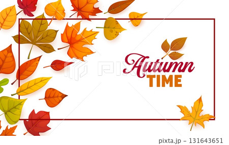 Autumn time banner or greeting card with frame of scattered leaves, vector background. Autumn time greeting card with frame of maple, oak, chestnut, birch and aspen leaves or fall season foliage Autumn time banner or greeting card with frame of scattered leaves, vector background. Autumn time greeting card with frame of maple, oak, chestnut, birch and aspen leaves or fall season foliage 131643651
