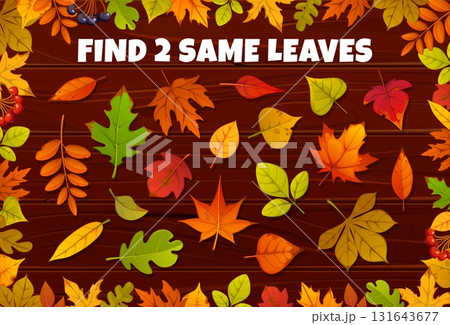 Find two same autumn fall season yellow, orange and red leaves, vector game worksheet. Kids game puzzle quiz to find two leaves of maple or oak tree, ash and elm with birch or rowan leaf 131643677