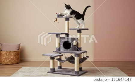キャットタワーで遊ぶ猫 キャットタワーで遊ぶ猫 131644147