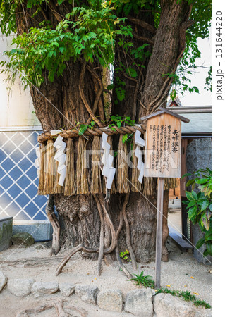 福岡 櫛田神社 夫婦銀杏 福岡 櫛田神社 夫婦銀杏 131644220