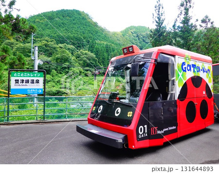 とことこトレイン「雙津峡温泉駅」の風景より 131644893