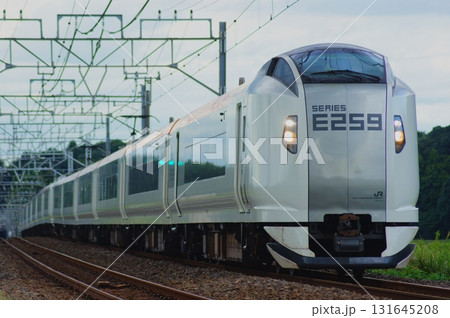 東京・新宿・横浜へ　特急成田エクスプレス 131645208