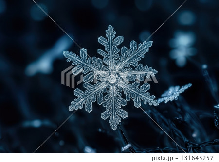 Intricate Geometric Snowflake Crystal Macro on a Dark Blue Winter Background Intricate Geometric Snowflake Crystal Macro on a Dark Blue Winter Background 131645257