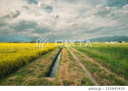 秋の安曇野【北安曇郡池田町】 秋の安曇野【北安曇郡池田町】 131645410
