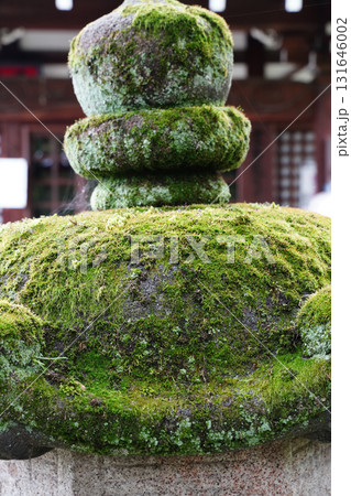 苔むした石灯籠 131646002