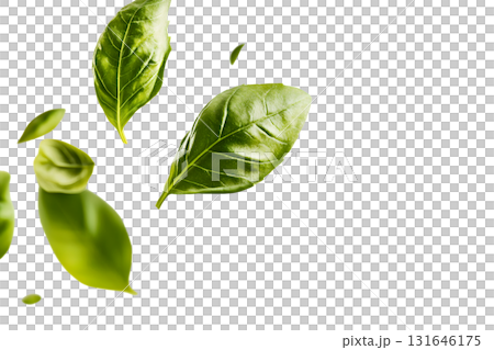 Floating green leaves in a natural serene environment showcasing the beauty and vitality of fresh organic plant life 131646175