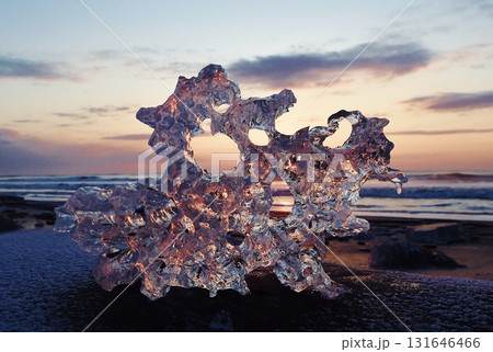 自然の造形 131646466