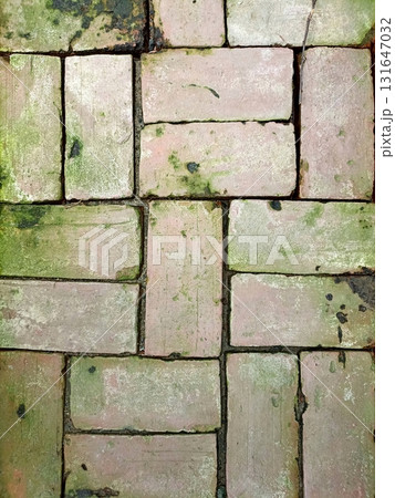 Old brick pavement covered with moss and weather stains Old brick pavement covered with moss and weather stains 131647032