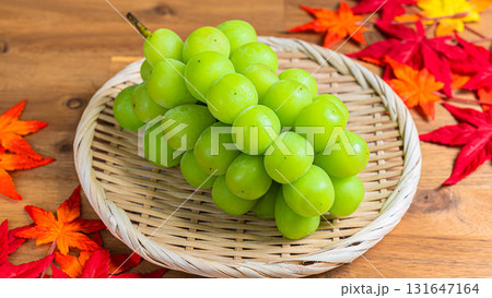 ざるに盛られたシャインマスカットと紅葉 131647164