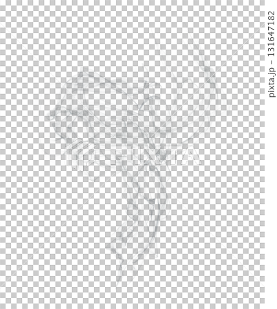 Abstract transparent smoke swirl isolated on clear background with flowing soft curves and delicate vapor texture Abstract transparent smoke swirl isolated on clear background with flowing soft curves and delicate vapor texture 131647182