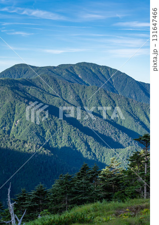 南アルプスの聖平から見るモルゲンロートの光岳　南アルプス聖岳登山 131647466