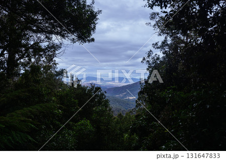 Lake Dobson Area in Tasmania Australia Lake Dobson Area in Tasmania Australia 131647833