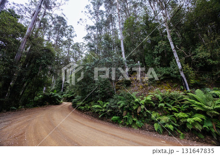 Lake Dobson Area in Tasmania Australia Lake Dobson Area in Tasmania Australia 131647835