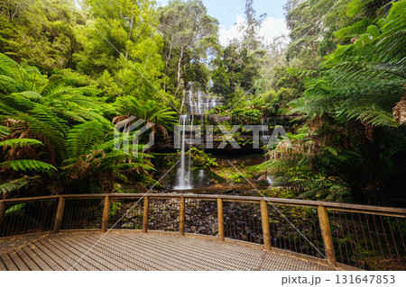 Russell Falls in Mt Field National Park Tasmania Australia Russell Falls in Mt Field National Park Tasmania Australia 131647853