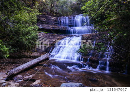 Lady Barron Falls in Tasmania Australia 131647967