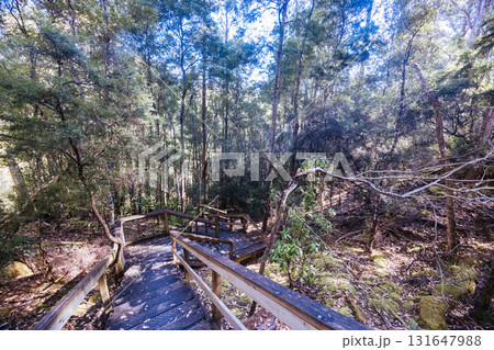 Lady Barron Falls Circuit in Tasmania Australia 131647988