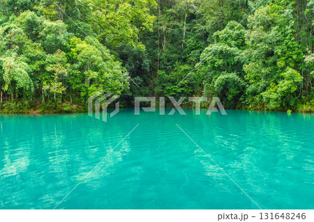 緑色 緑 グリーン 131648246