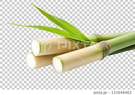 three pieces of cut plant stalks are laid on a stark white surface, with two green leaves sprouting from near the end of one stalk three pieces of cut plant stalks are laid on a stark white surface, with two green leaves sprouting from near the end of one stalk 131648462