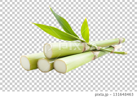 a stack of light green stalks is arranged on a stark white background. the stalks are cut, exposing a pale inner core, and are adorned with several vibrant green leaves a stack of light green stalks is arranged on a stark white background. the stalks are cut, exposing a pale inner core, and are adorned with several vibrant green leaves 131648463