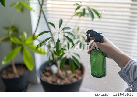 水やり 131649916