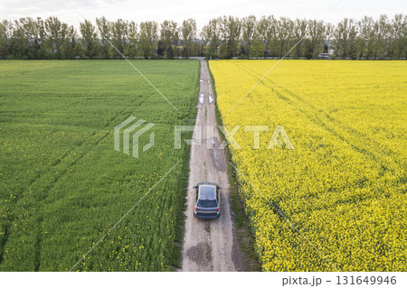 Aerial view of car driving by straight ground road through green fields with blooming rapeseed plants on sunny day. Drone photography. Aerial view of car driving by straight ground road through green fields with blooming rapeseed plants on sunny day. Drone photography. 131649946