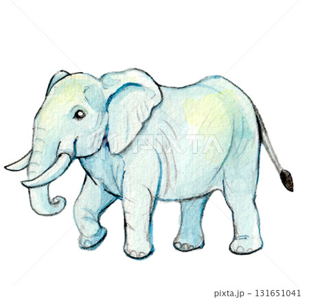 手描き水彩のかわいいゾウ 131651041