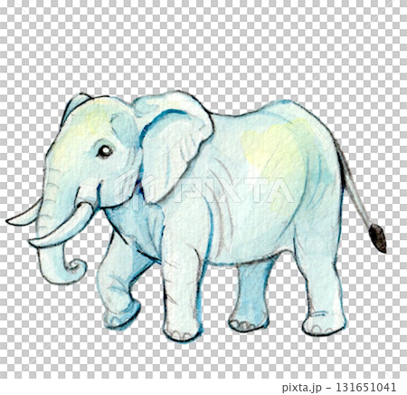 手描き水彩のかわいいゾウ 131651041