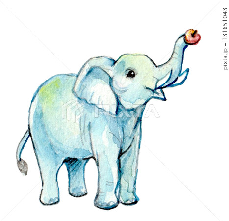 手描き水彩のりんごを持ったかわいいゾウ 手描き水彩のりんごを持ったかわいいゾウ 131651043