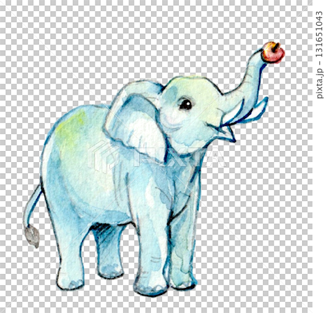 手描き水彩のりんごを持ったかわいいゾウ 手描き水彩のりんごを持ったかわいいゾウ 131651043