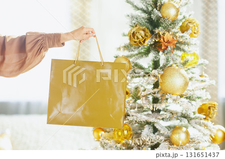 Hand Holding a Festive Gift Bag by a Flocked Christmas Tree 131651437
