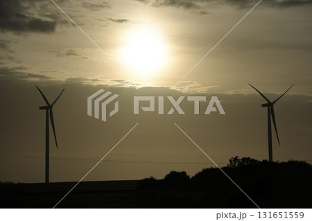 Wind tower turbine power plant at sunset Wind tower turbine power plant at sunset 131651559