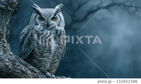 Majestic Owl Perched on Tree Branch in Mysterious Forest Setting Majestic Owl Perched on Tree Branch in Mysterious Forest Setting 131652386