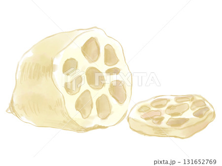 輪切りにされた新鮮な蓮根の手描き水彩イラスト 輪切りにされた新鮮な蓮根の手描き水彩イラスト 131652769