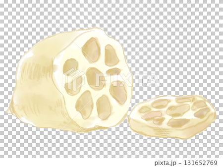 輪切りにされた新鮮な蓮根の手描き水彩イラスト 輪切りにされた新鮮な蓮根の手描き水彩イラスト 131652769