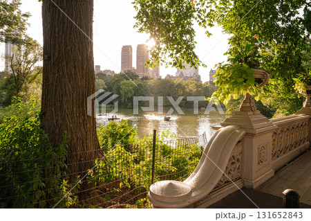 The lake in Central Park glows under the golden sunset as boats gently float on the water. A large tree, decorative railing, and flower planter frame the peaceful urban landscape of New York City. 131652843