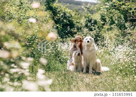 Dogs Woman Flowers: Smiling woman poses with dogs in summer daisy field for a happy outdoor portrait. 131653991