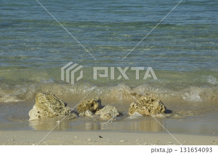 波打つ海辺 波打つ海辺 131654093