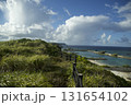 高台から見た海 131654102
