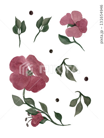 Red quatrefoils. Flowers and twigs. A set of isolated illustrations for your design Red quatrefoils. Flowers and twigs. A set of isolated illustrations for your design 131654946