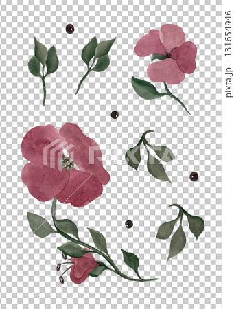 Red quatrefoils. Flowers and twigs. A set of isolated illustrations for your design Red quatrefoils. Flowers and twigs. A set of isolated illustrations for your design 131654946
