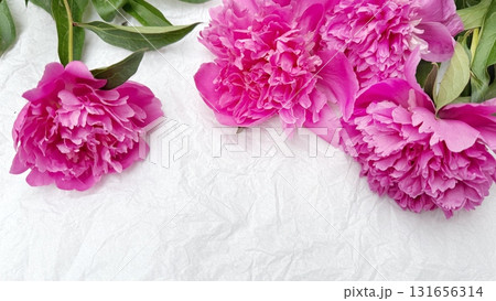 Pink Peonies on Crumpled Beige Paper Background Pink Peonies on Crumpled Beige Paper Background 131656314