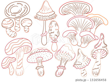 Set of illustrations for postcards, flyers, banners Set of illustrations for postcards, flyers, banners 131656458