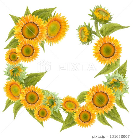 Sunflower. A vibrant watercolor sunflower. Rich yellow and orange flowers, delicate buds, and lush green foliage. A wreath of sunflower flowers, buds, and leaves. The image is done in watercolor with Sunflower. A vibrant watercolor sunflower. Rich yellow and orange flowers, delicate buds, and lush green foliage. A wreath of sunflower flowers, buds, and leaves. The image is done in watercolor with 131658007
