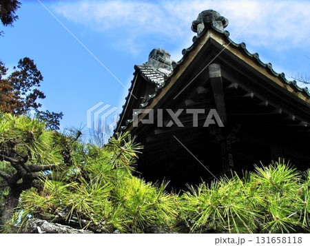 新田総鎮守 岩松八幡宮(2012.3.26) 松の木は当時の栄華を包むように八幡宮の一部に 131658118