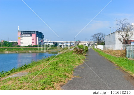 埼玉県久喜市権現堂川沿い2025年10月 131658210