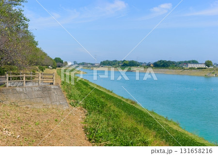 埼玉県久喜市権現堂川沿い2025年10月 131658216